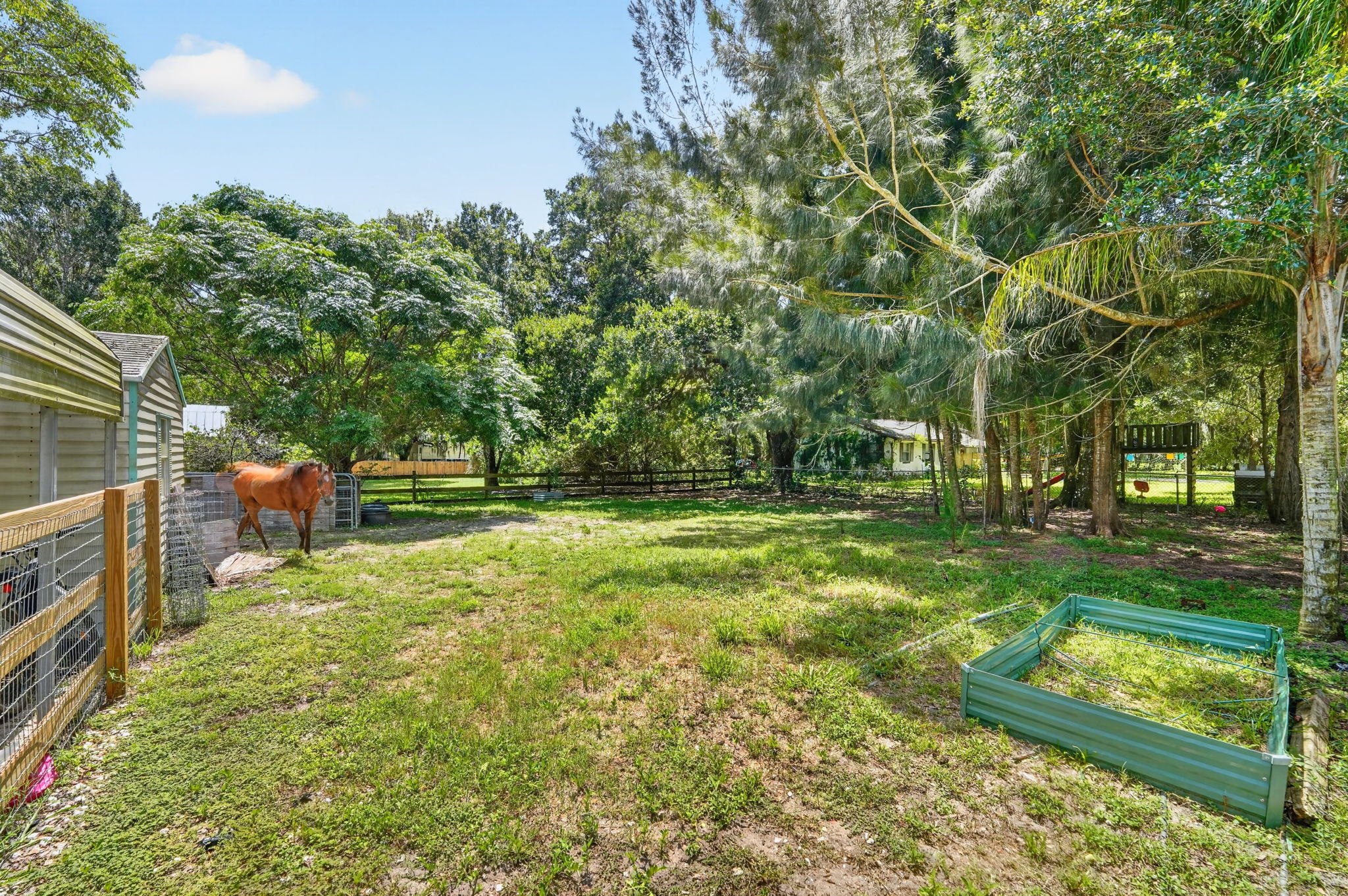 Backyard