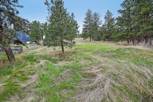 Kelly Rd-S1705-054.jpg
