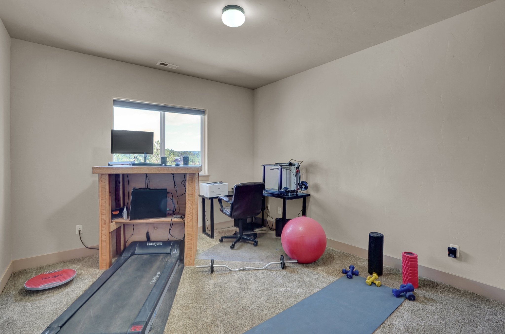 Lower Level Bedroom or Exercise Room