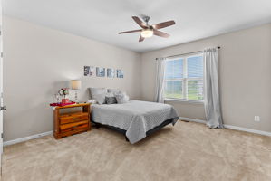  Photo 41