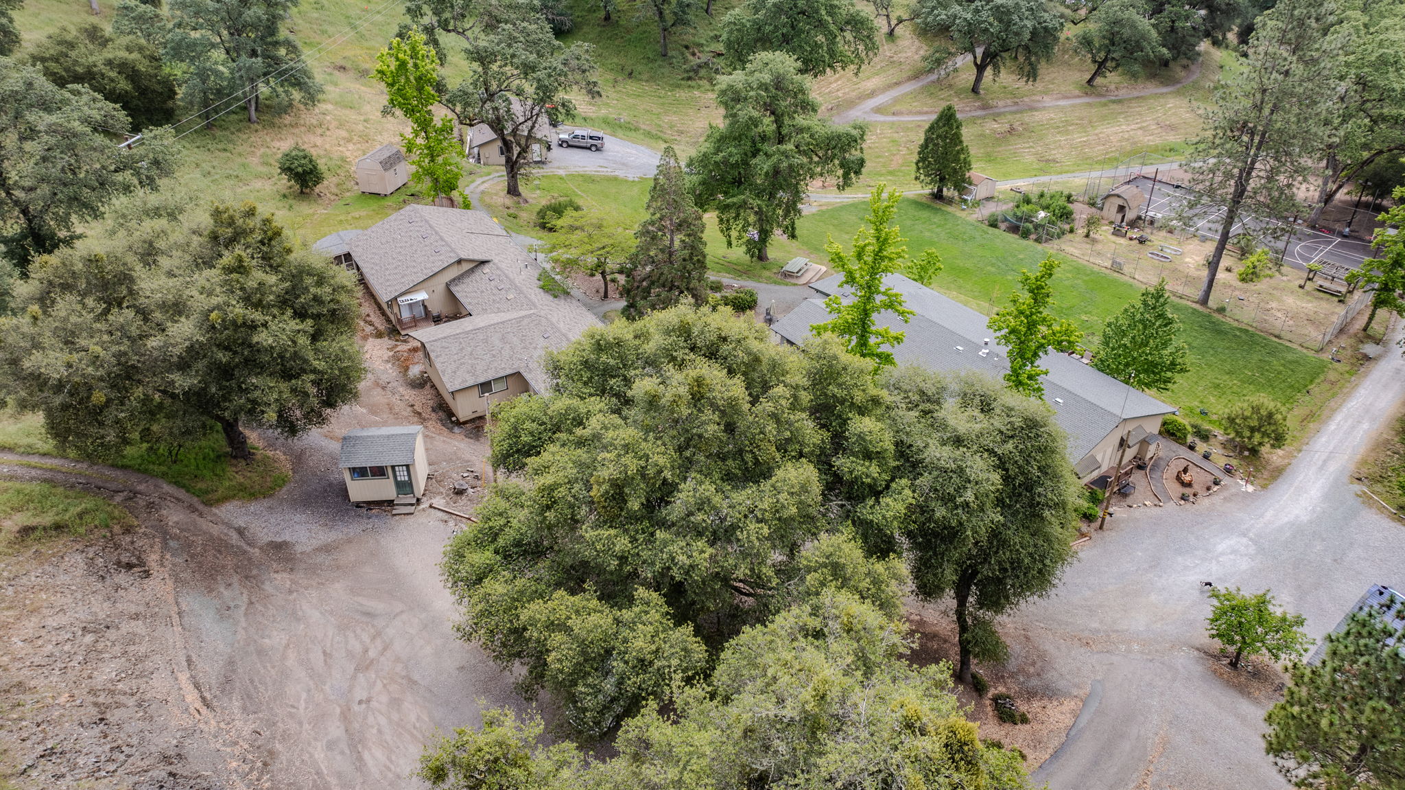  Photo 113