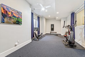 Fitness Flex Room