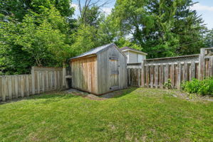  Photo 49