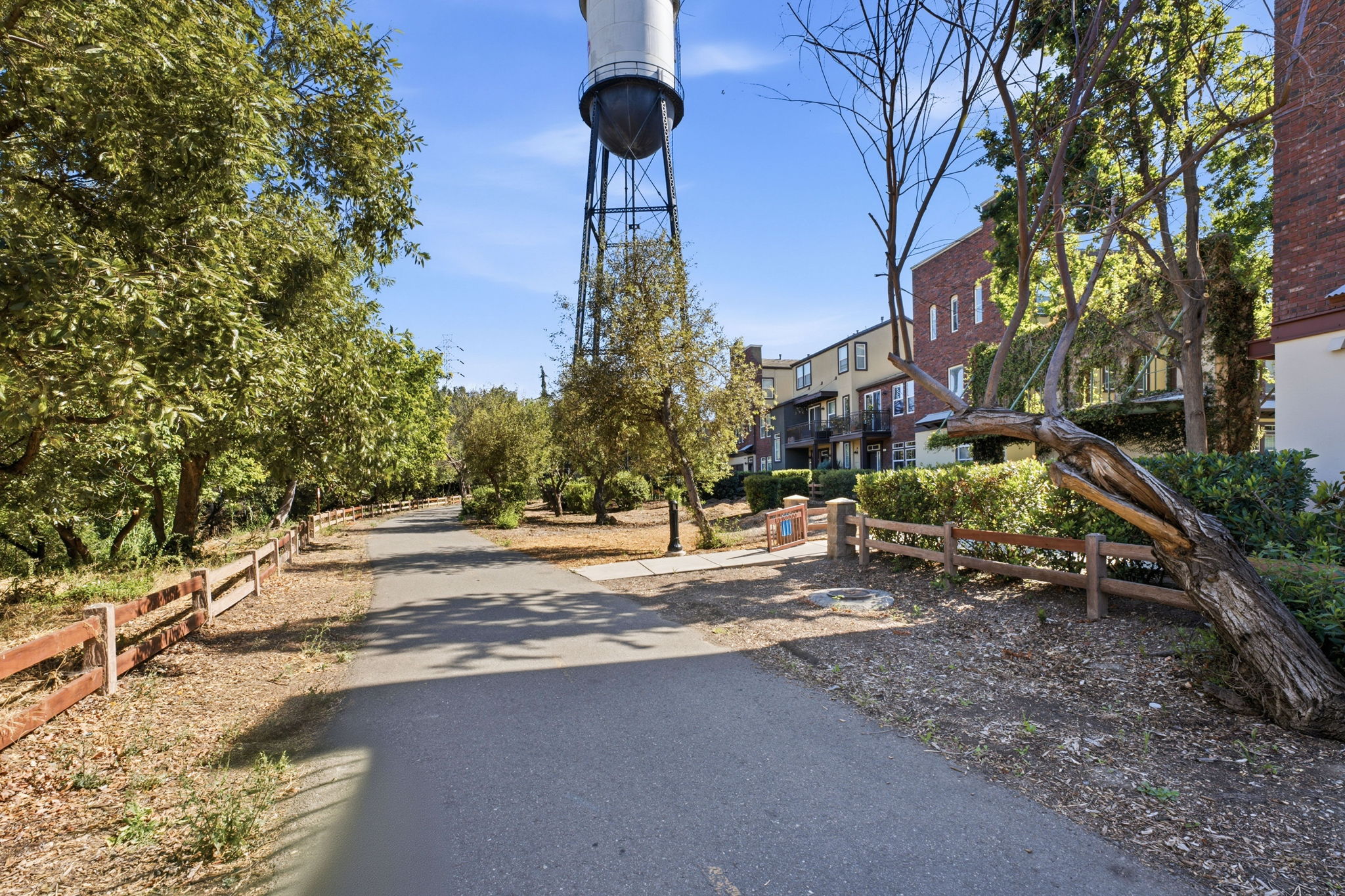  Photo 63