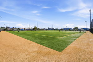  Photo 81