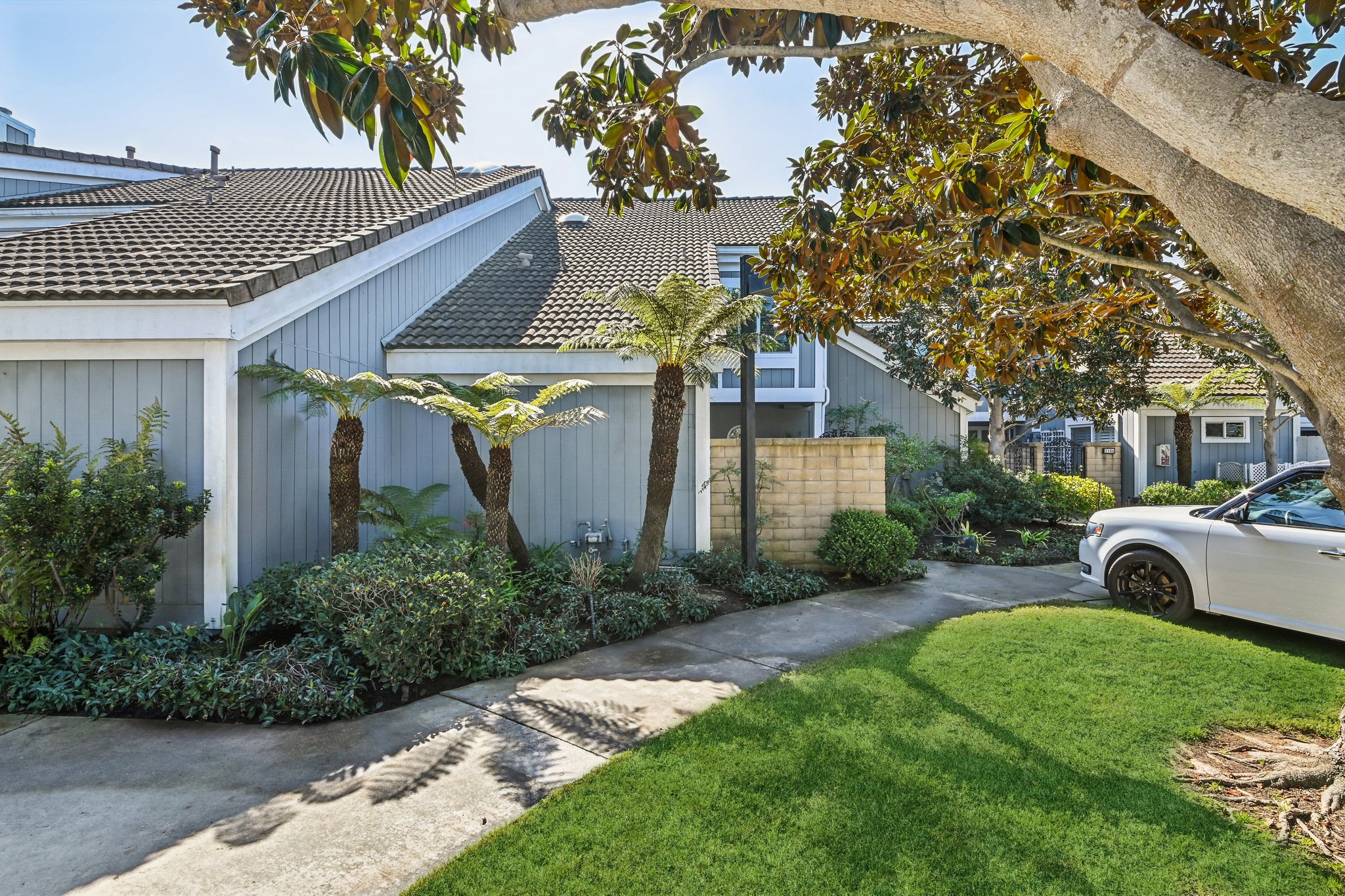 A-Windspun Dr-L0502-001.jpg