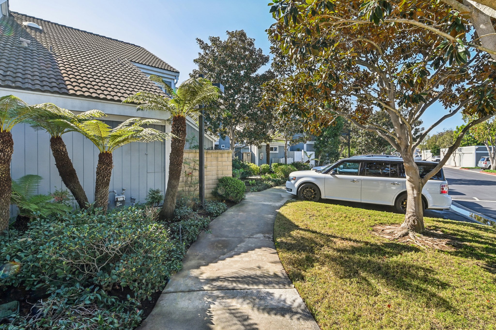 Windspun Dr-L0502-003.jpg