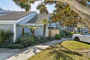 Windspun Dr-L0502-001.jpg