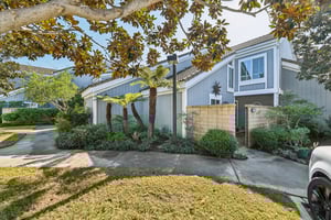 Windspun Dr-L0502-002.jpg