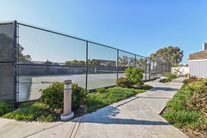 Windspun Dr-L0502-060.jpg