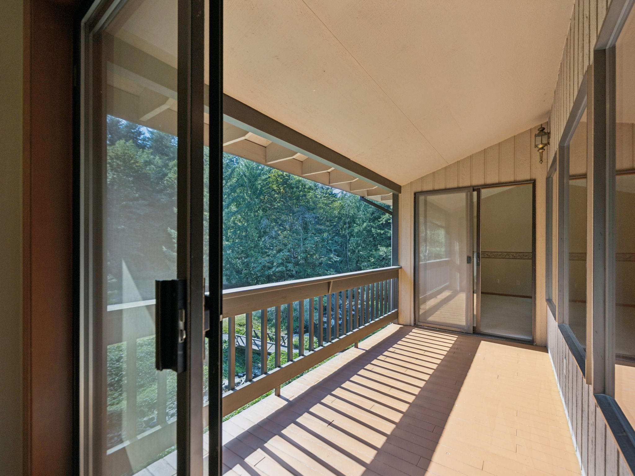  Photo 54