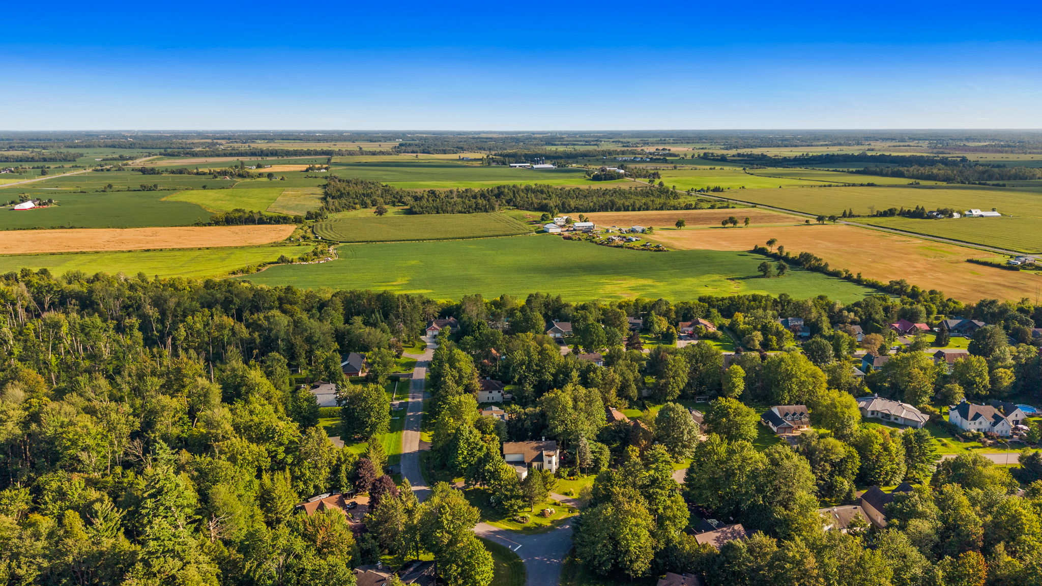  Photo 96