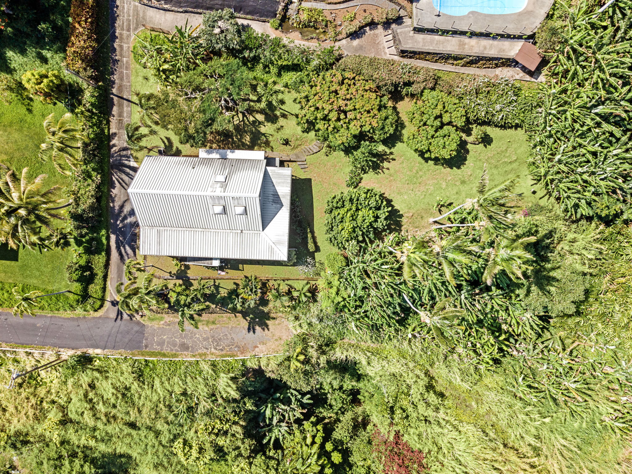 Aerial 6
