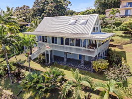 Aerial 3