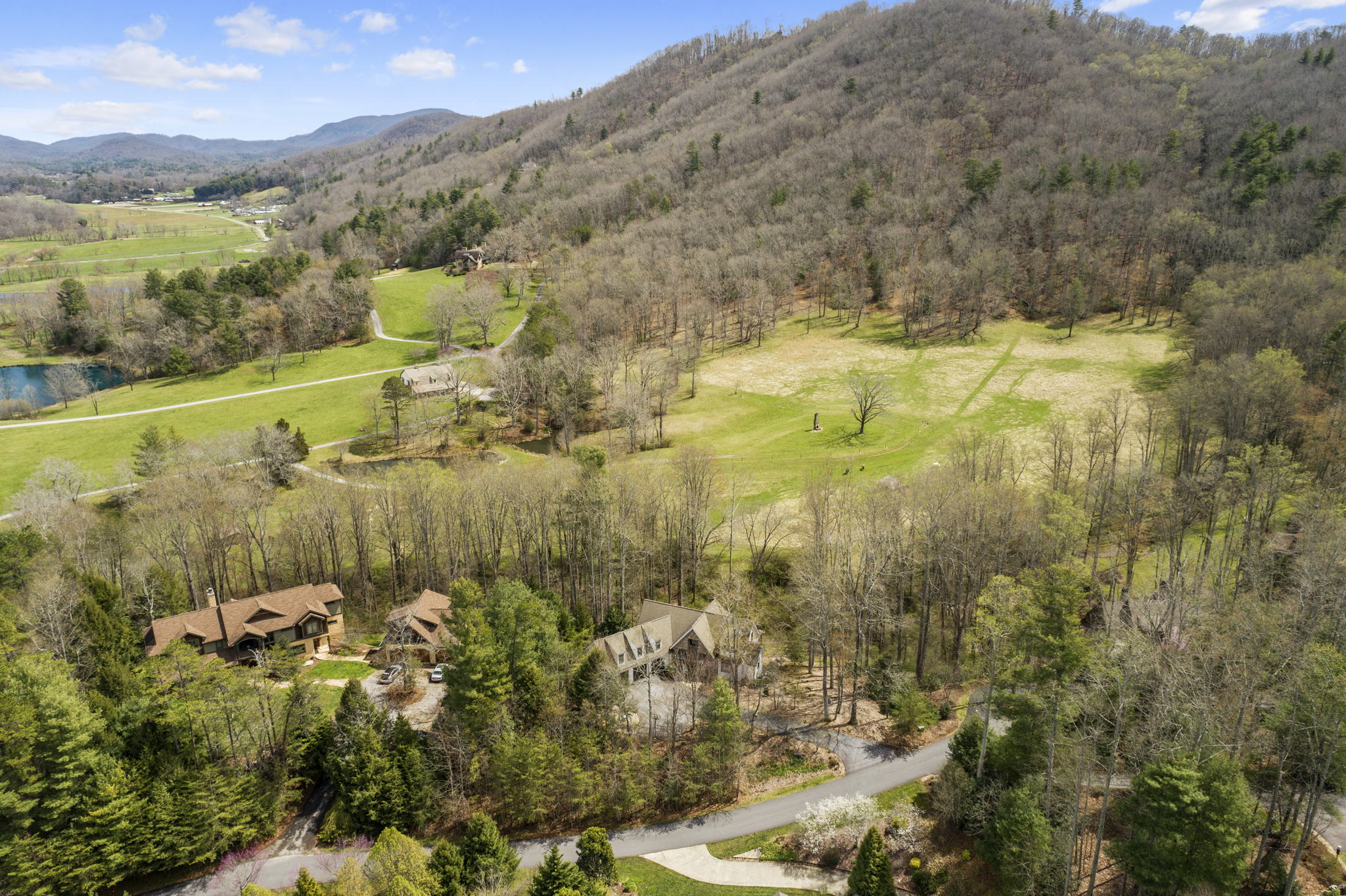 36 Blue Heron Dr, Fletcher, NC 28732, USA Photo 62