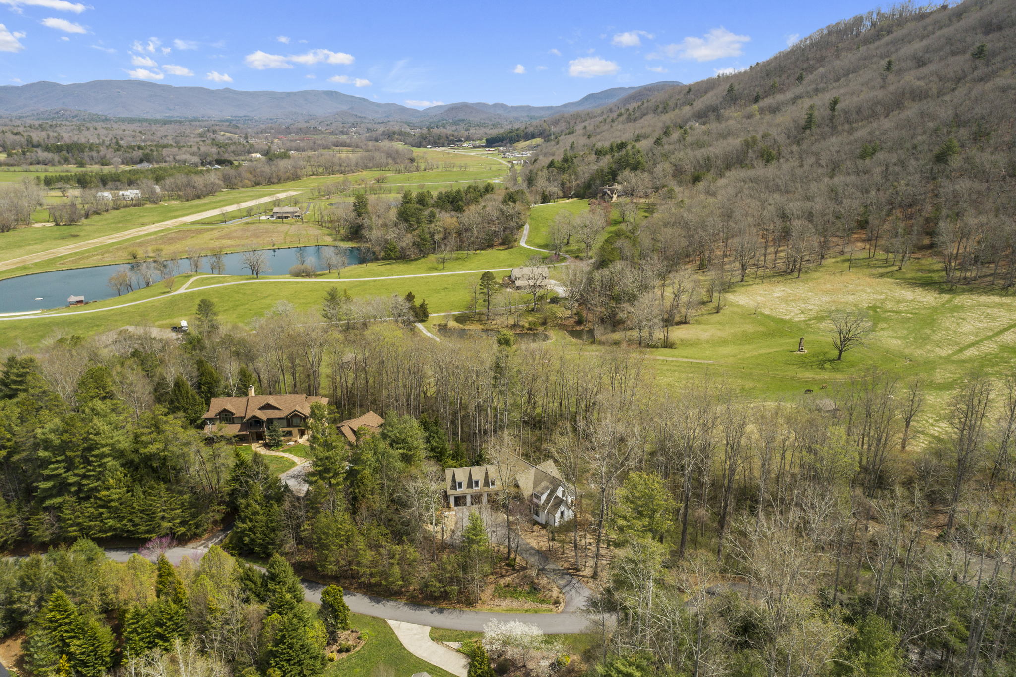 36 Blue Heron Dr, Fletcher, NC 28732, USA Photo 65