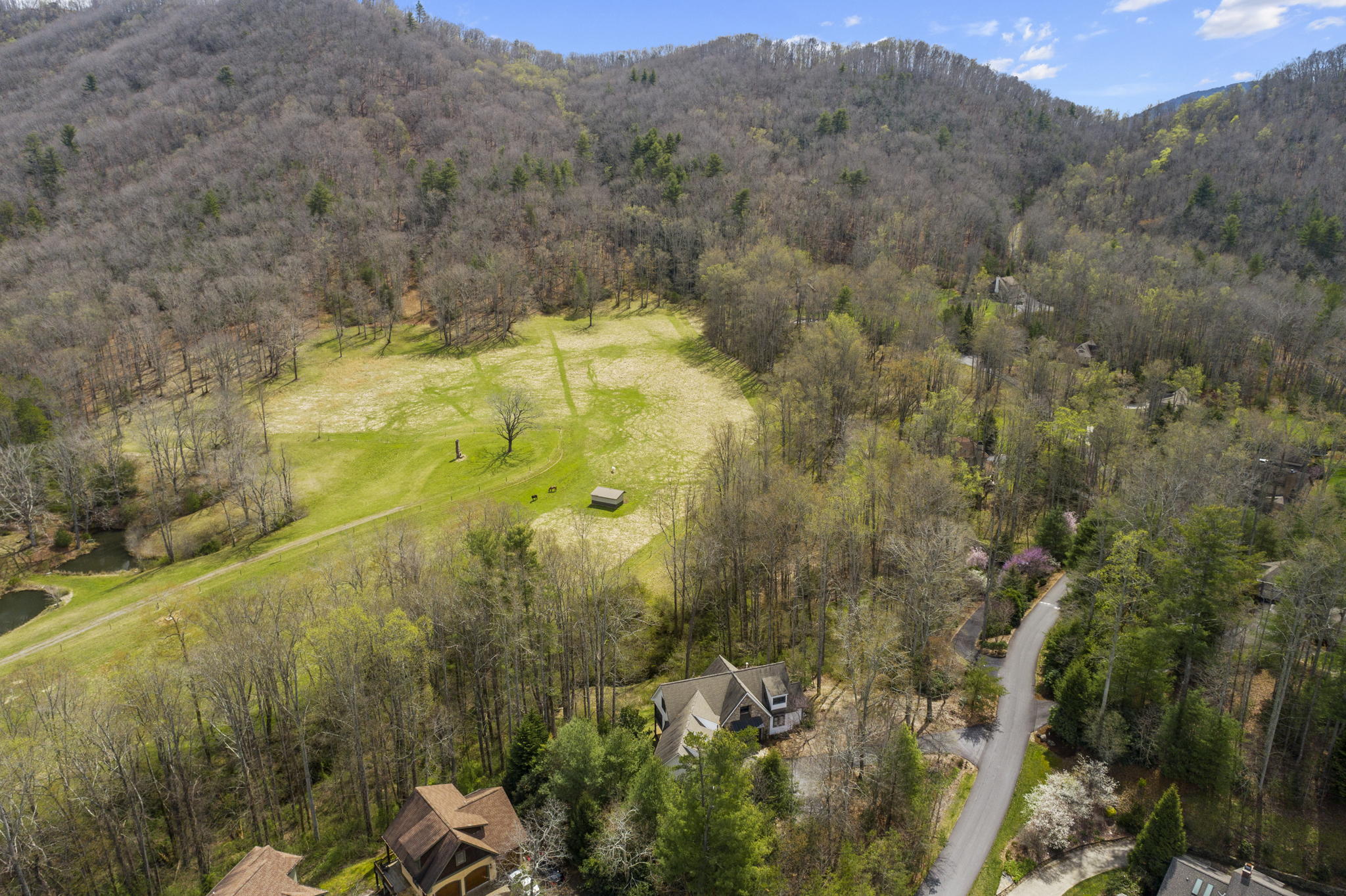 36 Blue Heron Dr, Fletcher, NC 28732, USA Photo 60