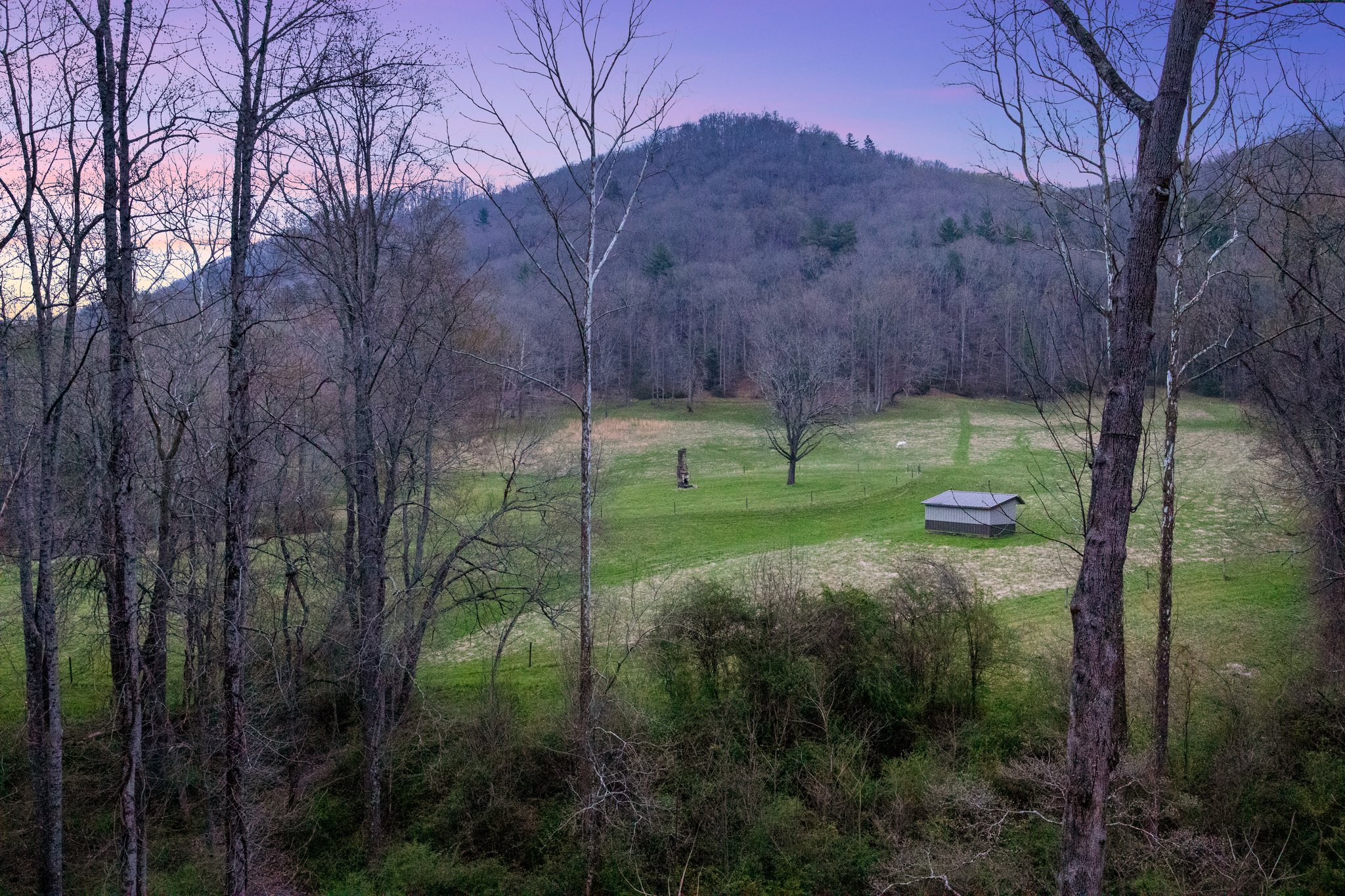 36 Blue Heron Dr, Fletcher, NC 28732, USA Photo 71