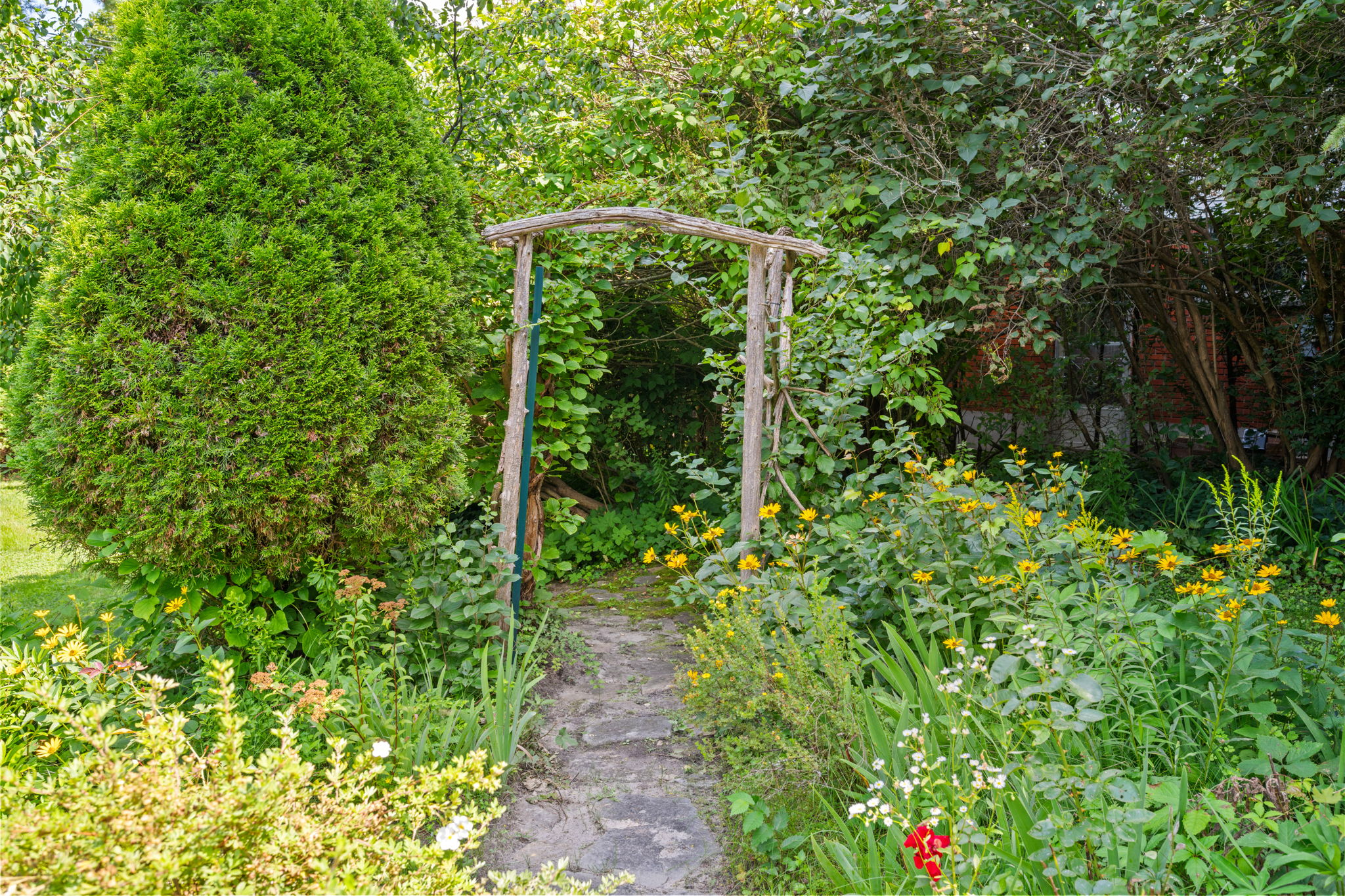  Photo 46