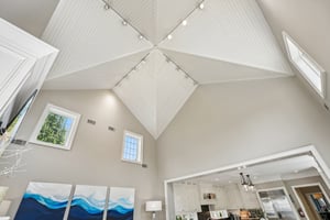 The "star" of the family room ceiling.