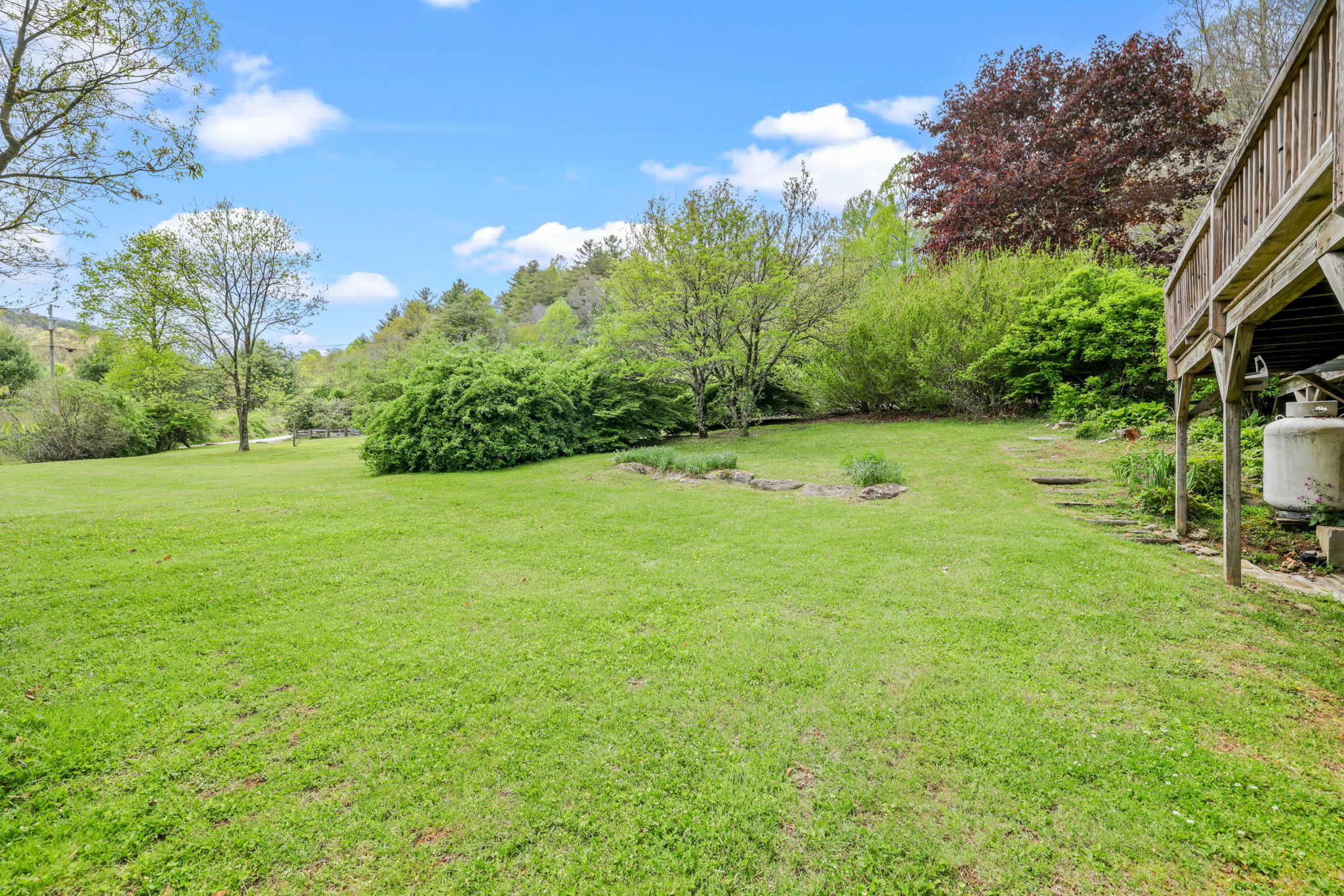  Photo 50