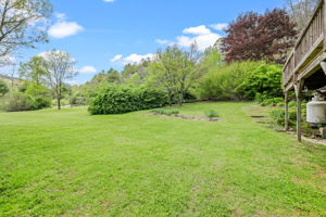  Photo 49