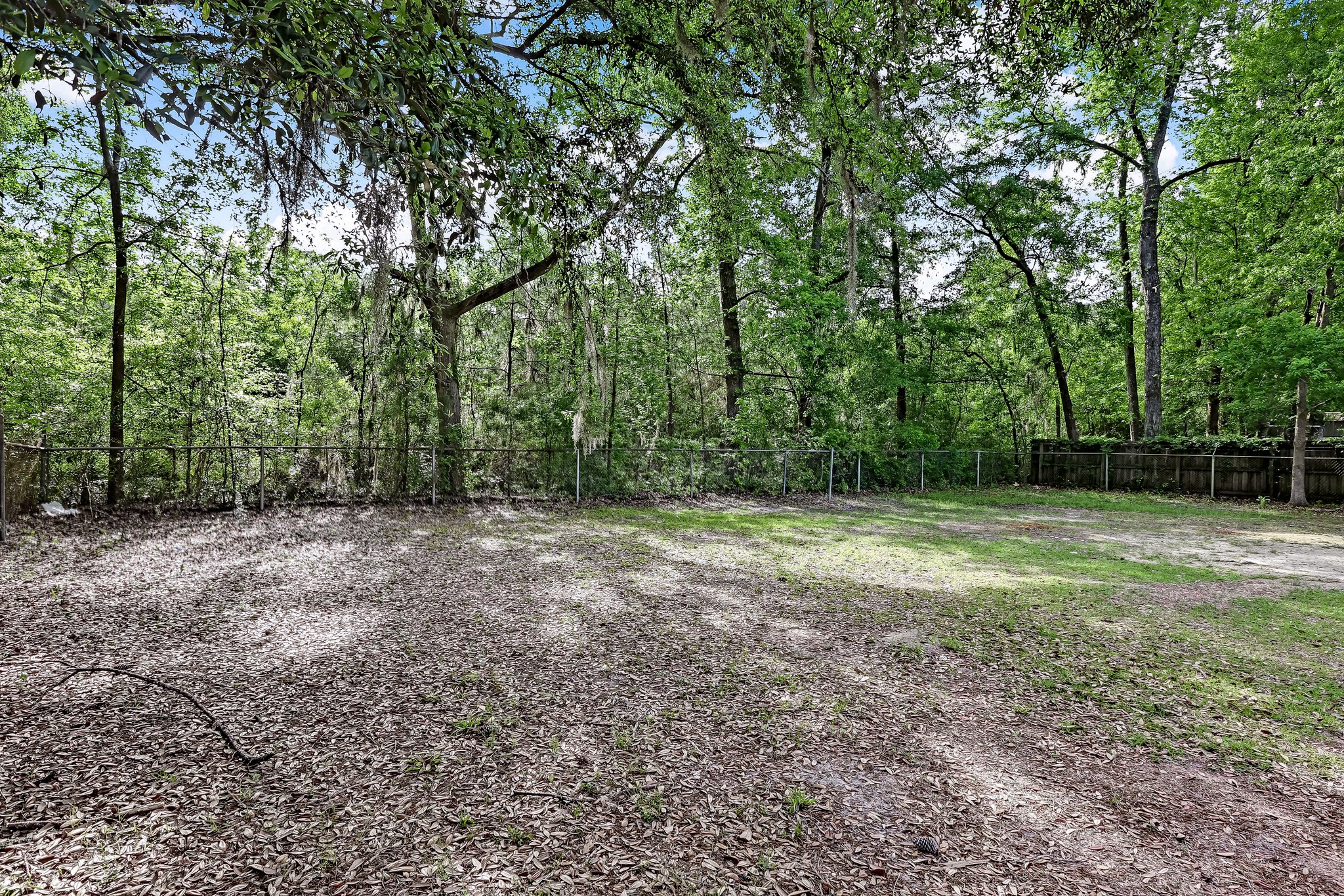Back Yard