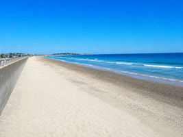  Photo 40