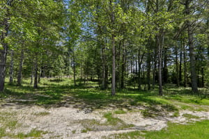 Haywood Xing Dr-S1305-036.jpg