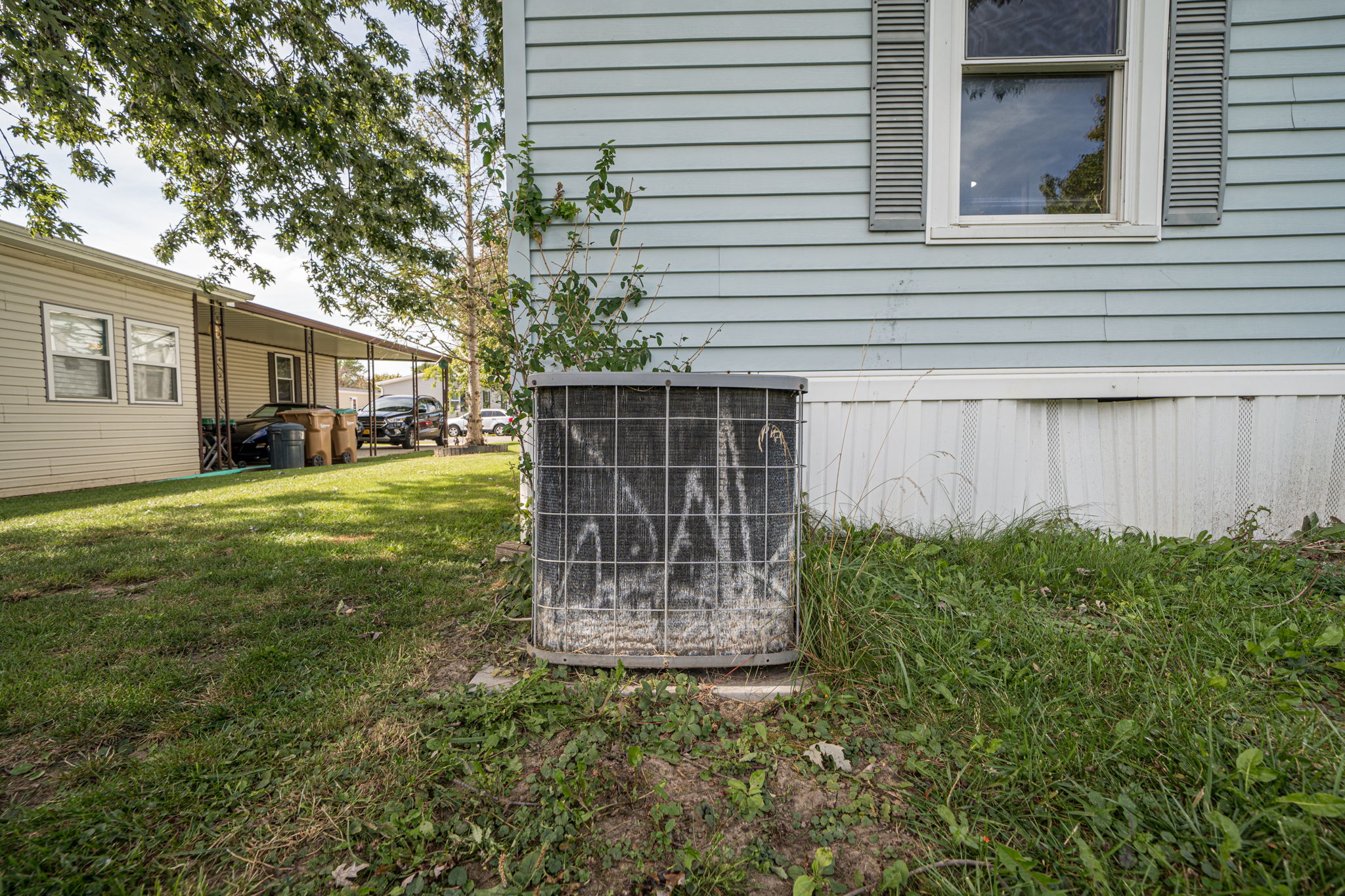  Photo 41