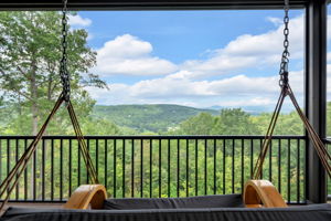Views From Screened-in Porch