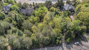 36 Parklane Court Aerial (1)