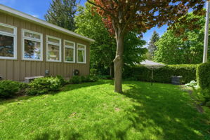  Photo 104