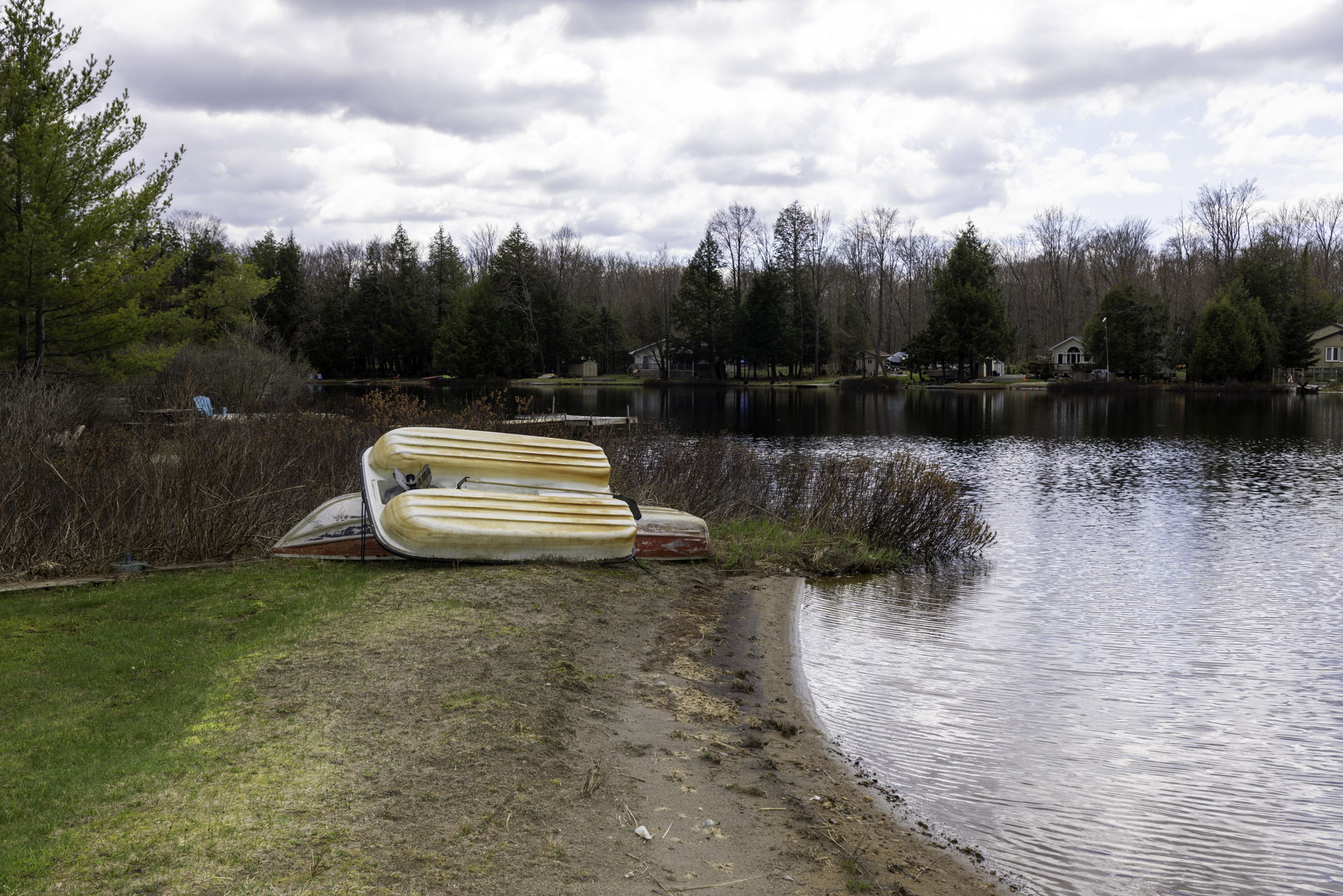  Photo 42