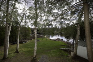  Photo 50