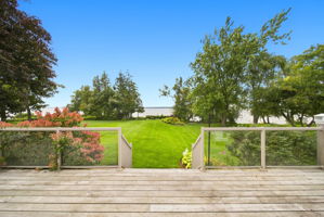  Photo 96