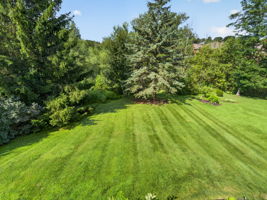  Photo 79
