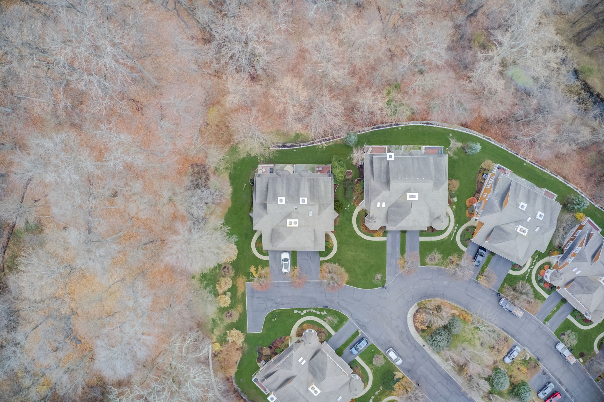 Wyldwood Dr-043