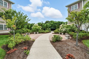 360Andover_Recolor_006