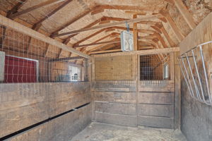  Photo 51