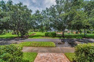 Frontyard View