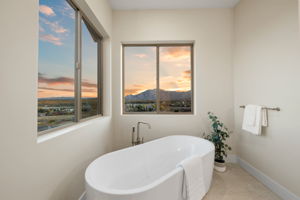 Primary Bathroom (3)