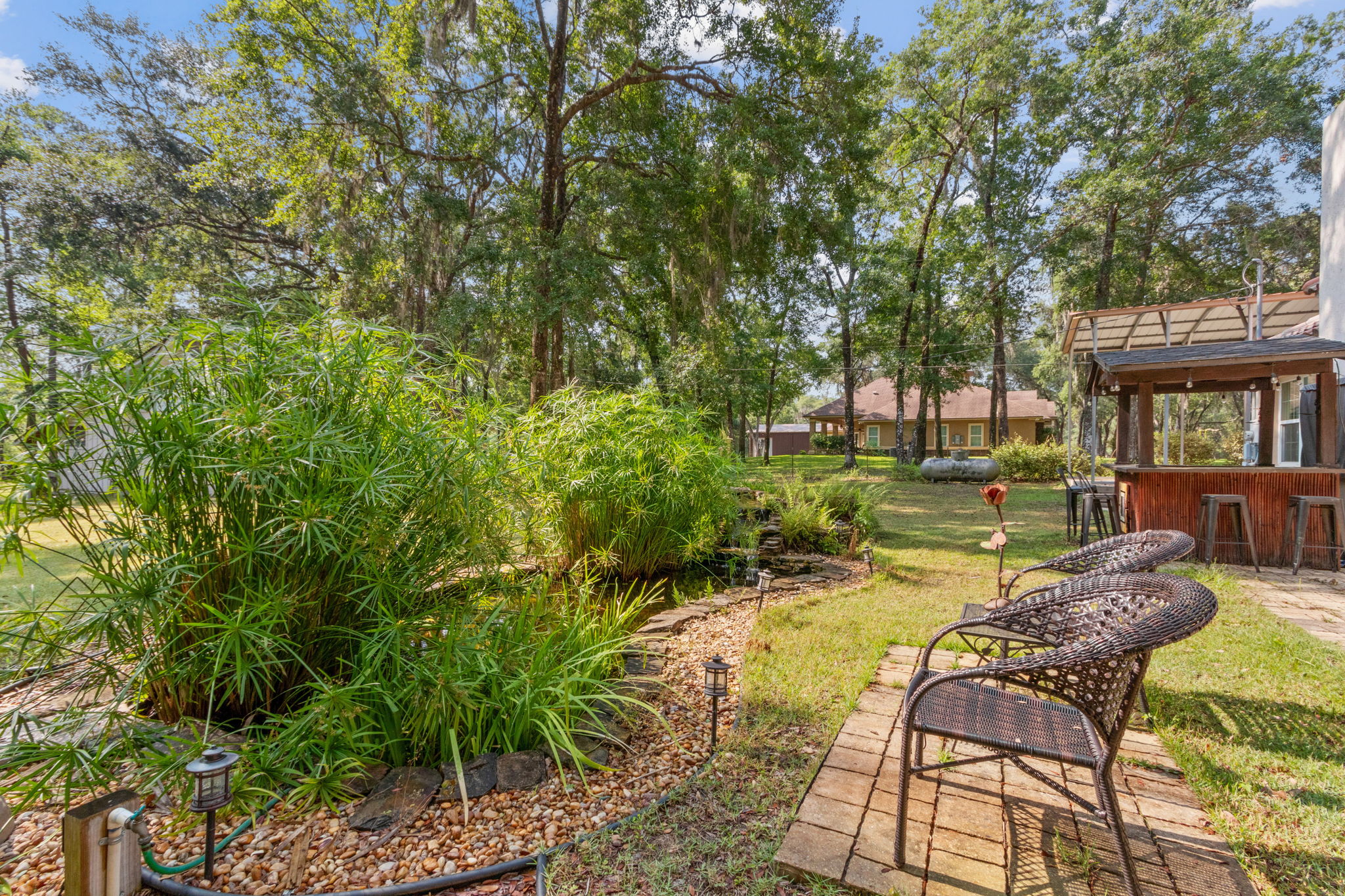 Backyard