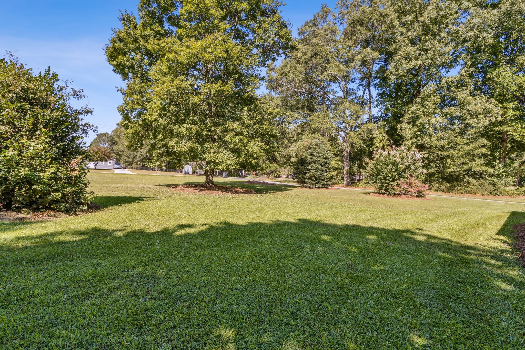 Front Yard