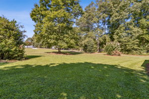 Front Yard