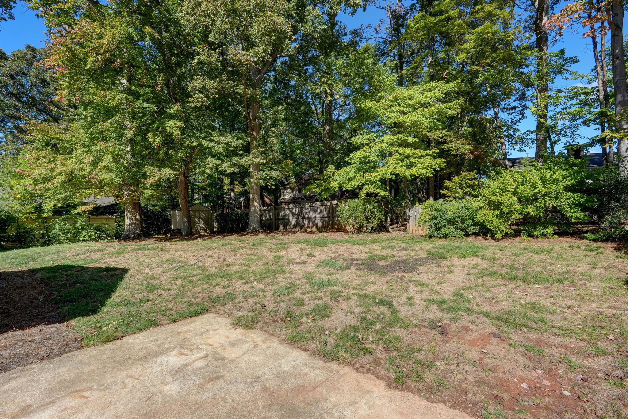 Back Yard
