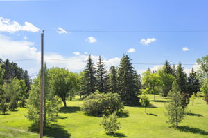  Photo 57