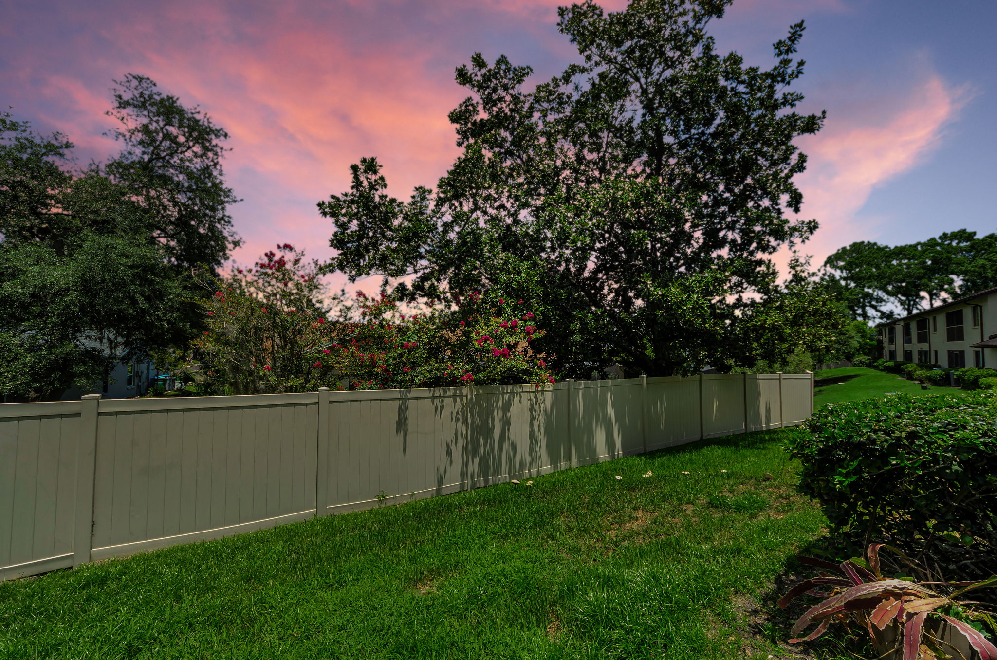Backyard2