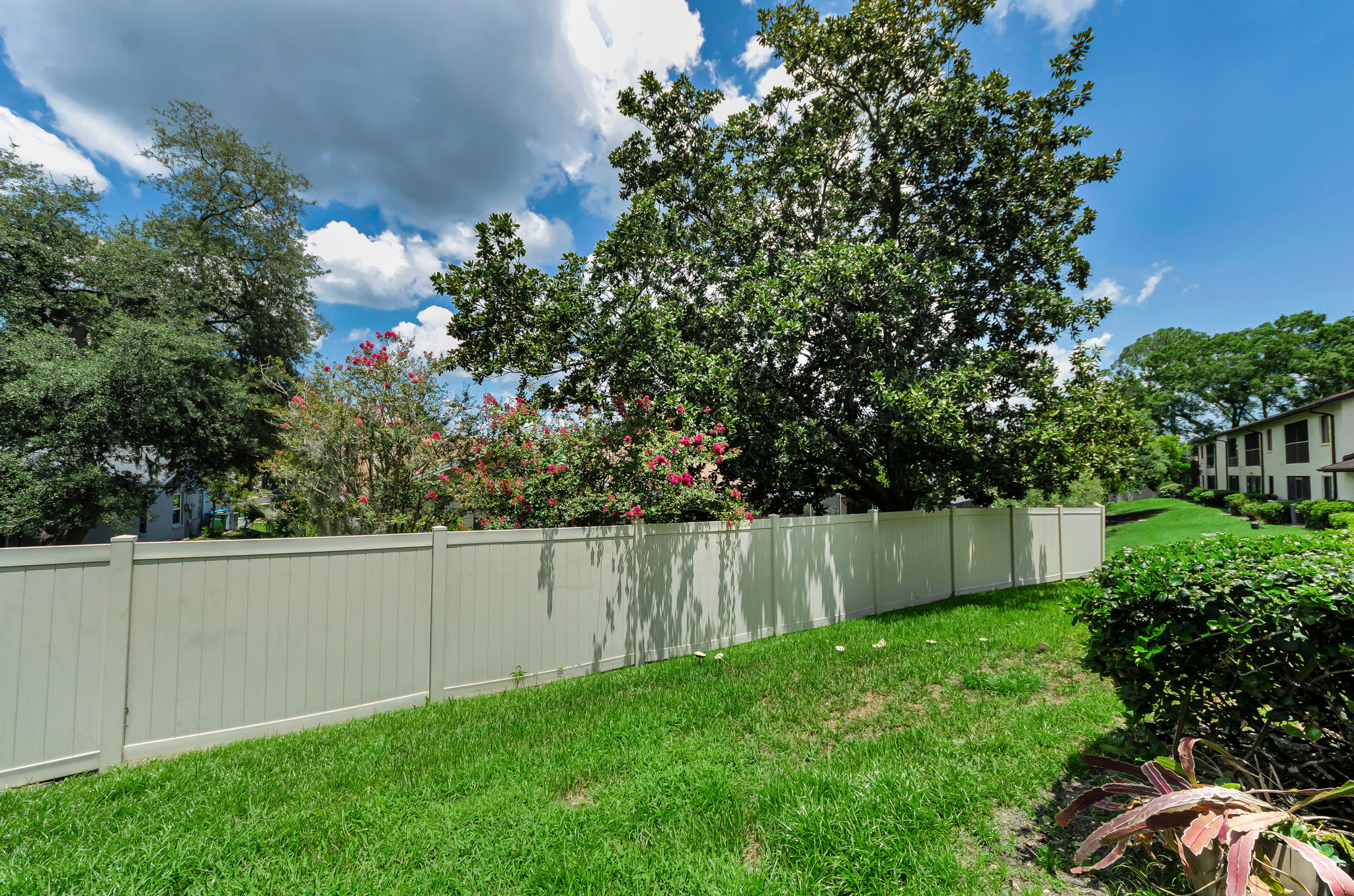Backyard2