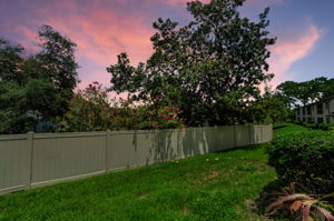 Backyard2
